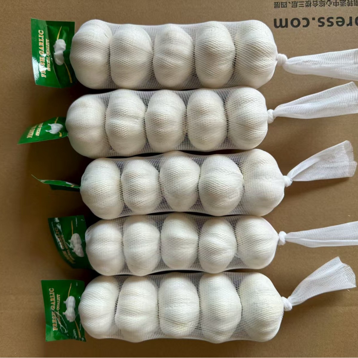 Shandong Purple-Skinned Garlic, 1.0kg Large Dried Garlic Bulbs, Multi-Flake Garlic Heads, Sun-Dried Fresh Garlic, Seasoning Purple-Skinned Garlic, Large Cloves