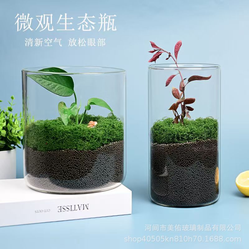 Glass Jar Landscape Desktop Office Creative Landscaping Ornaments Vase Moss Indoor Plant Hydroponic Vase Fish Tank Bottle