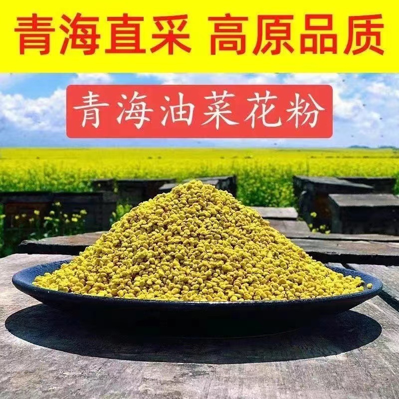 Fresh Qinghai Rape Pollen Natural Edible Bee Pollen Male Top 500g Unbroken Wall Authentic Natural Bee Feeding