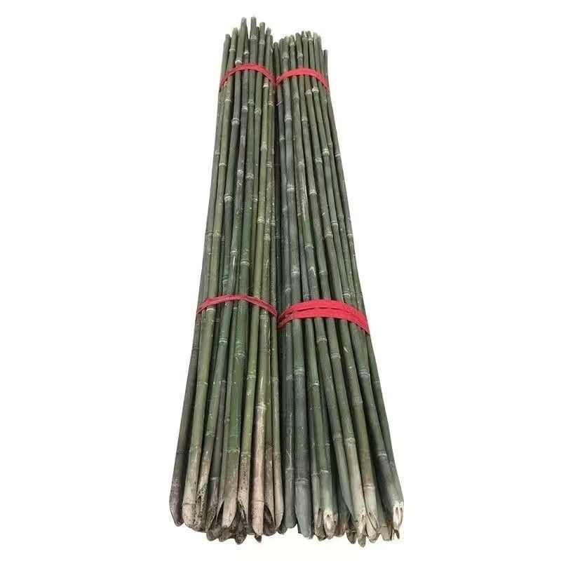Spot large bamboo vegetable garden rack fine bamboo pole flagpole garden decoration decoration thick bamboo pole wholesale bamboo fence