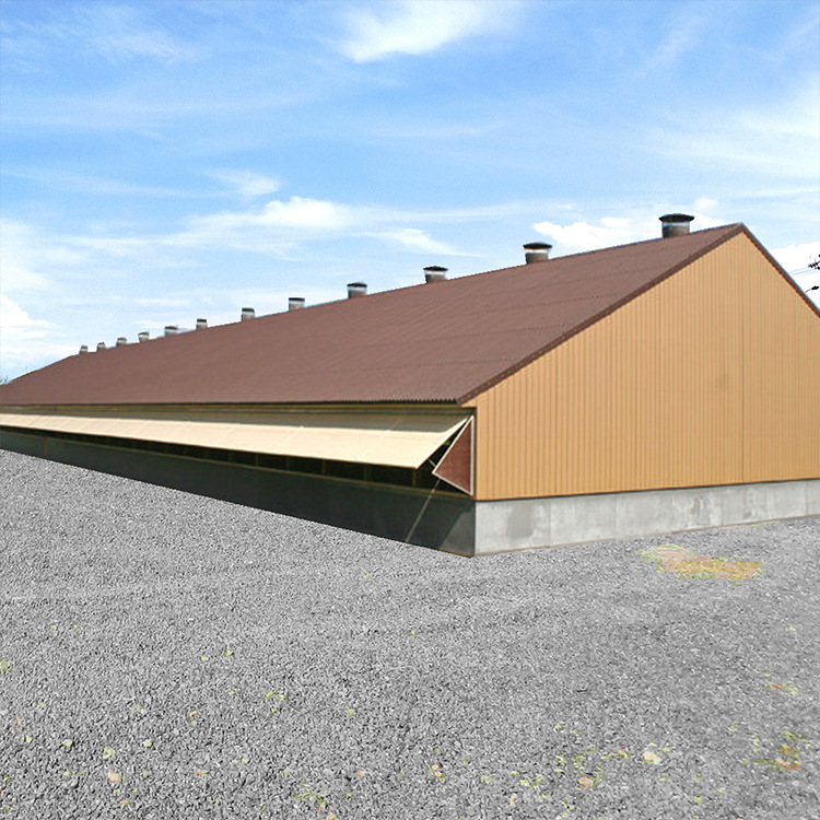 Steel Structure Warehouse, Fence, Farm, Poultry, Livestock, Egg Chicken, Simple Building Chicken House Export