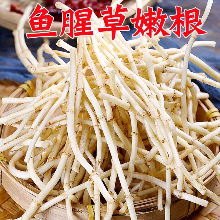 [Recommended by Veterans] Specialty Freshly Digged Hairy Ear Root and Houttuynia Cordata Tender Root Cold Mixed with Hubei Guizhou Rice