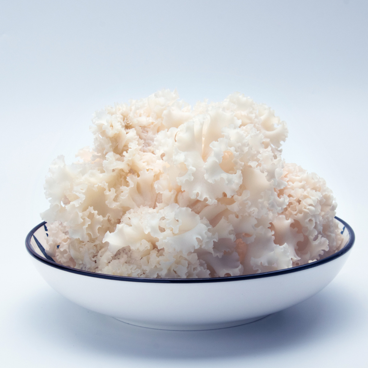 Свежая гортензия в Гутяне, Фуцзянь