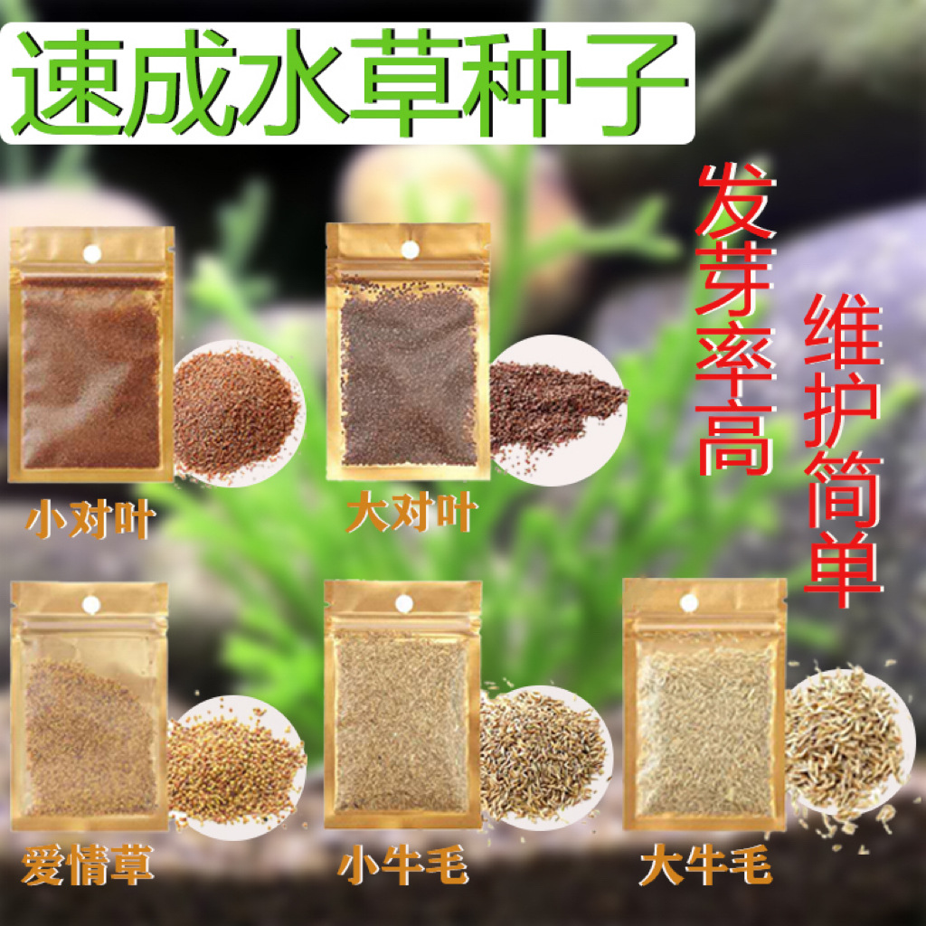 Оптовая продажа семян травы для аквариумов, семена водной травы, семена травы с коровьим волосом, семена травы с противоположными листьями, семена травы любви