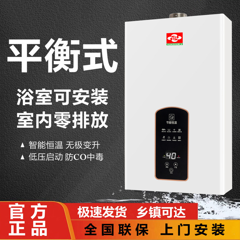 Free Shipping Gas Water Heater Electric Household Gas Bath Constant Temperature Natural Gas Forced Exhaust Liquefied Gas Balanced Type Can Be Installed