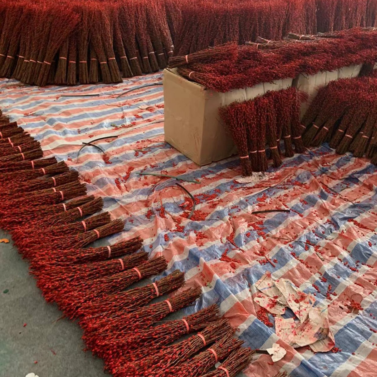 Fresh Red Willow New Year's Flower Silver Willow Multicolored Willow Real Flower Dried Flower Direct from Manufacturer 40cm Year-End Clearance Sale