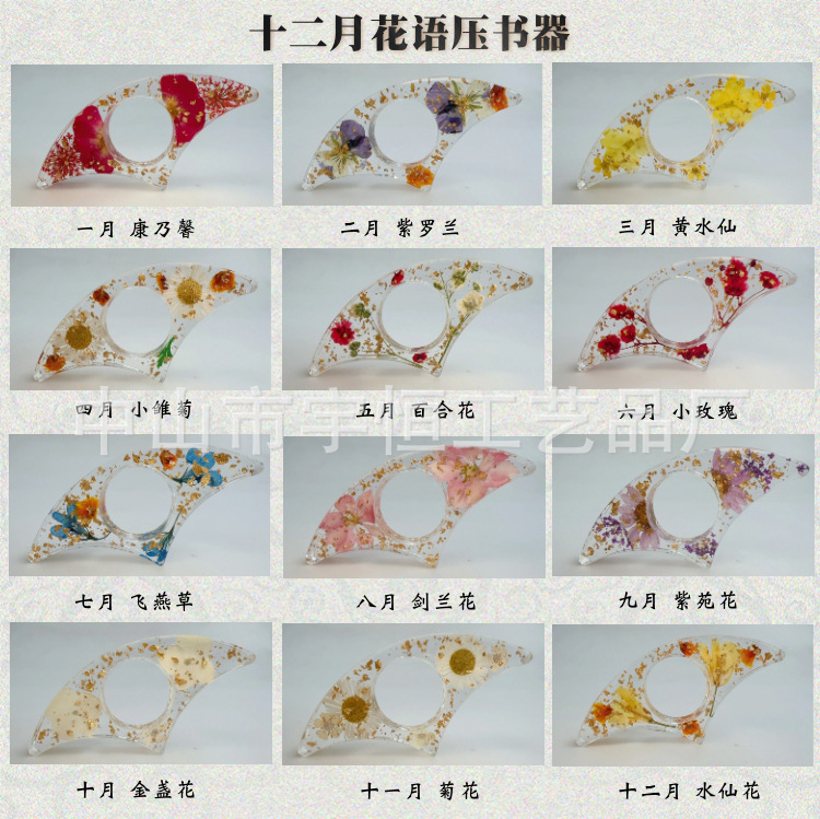 Кросс-бордерная новая декабрьская пресс-книга, креативная поддержка книги с настоящими цветами, клей для чтения, поддержка книги с розовым смолой