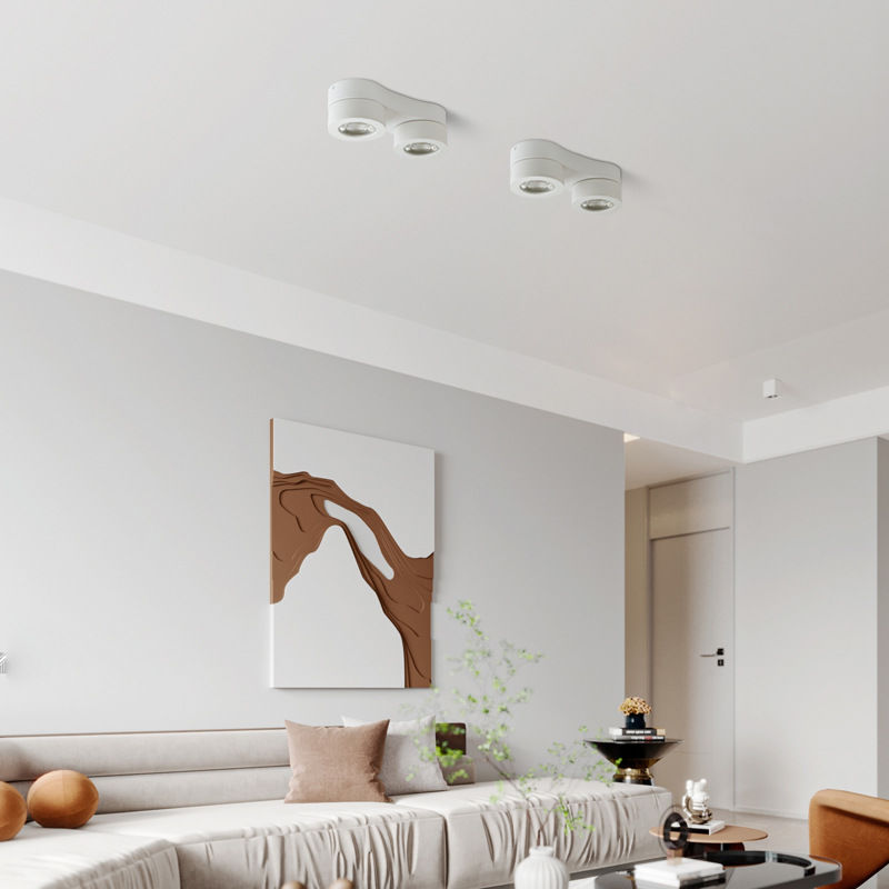 Surface-Mounted Adjustable Angle Led Double-Headed Spotlight Ceiling Recessed Downlight Without Main Light Lighting