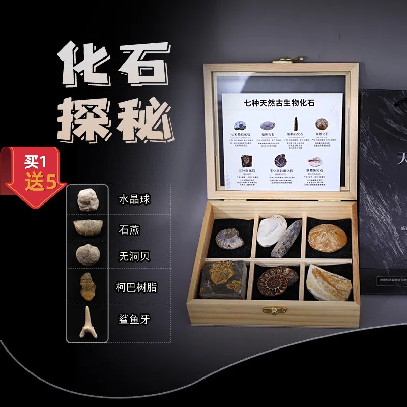 Древний ископаемый трилобит Ископаемая рыба с плавниками волка растительное насекомое янтарь оригинальный камень редкий камень декоративный камень подарок