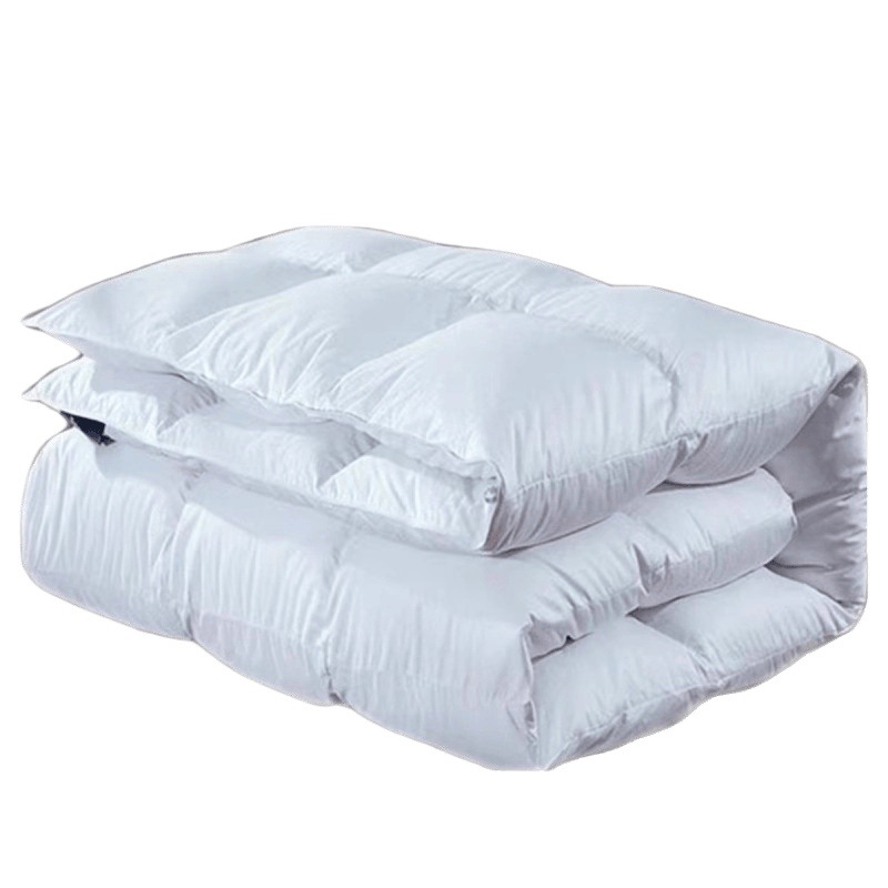 Export Five-Star Hotel down Quilt 95 White Goose down Quilt Winter Quilt Core Thickeneded Warm Spring & Fall Quilt Double