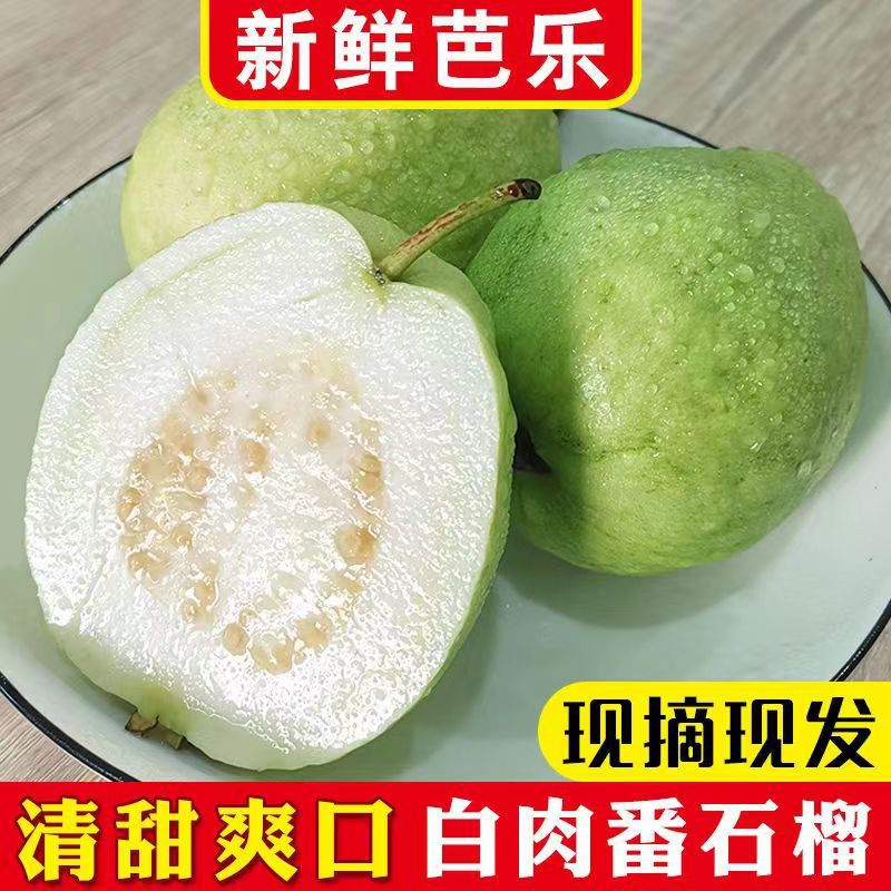 Гуава из Гуанси белосердечная, свежий фрукт, сладкий, хрустящий, мягкий, клейкий и сладкий 1/3/5/ 4.5кг, бесплатная доставка