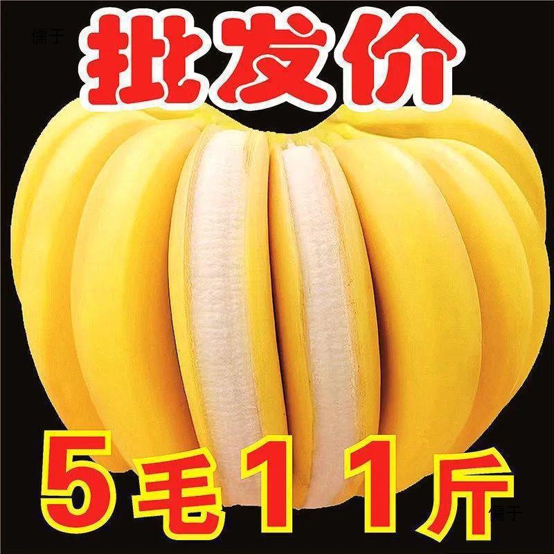 Banana Wholesale Thin-Skinned Fresh Whole Box Seasonal Free Shipping Banana Fresh Fruit