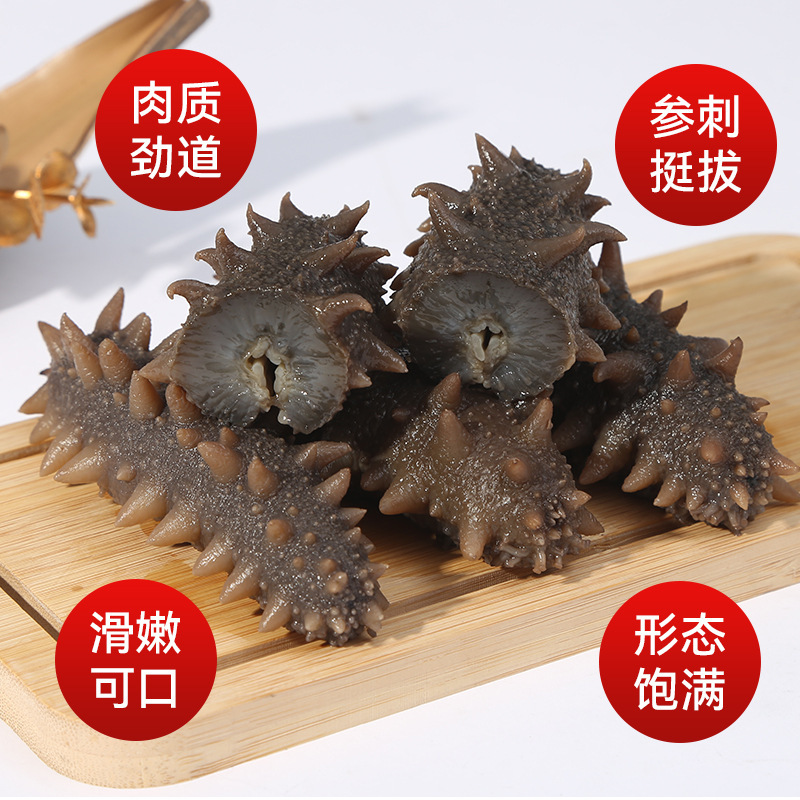 Sea Cucumber Manufacturers Wholesale Dalian Liao Sea Cucumber Ready-To-Eat, Chewy and Fresh, Frozen and Fresh-Locked