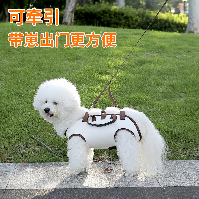 Портативная сумка для собак, рюкзак через плечо для маленьких собак