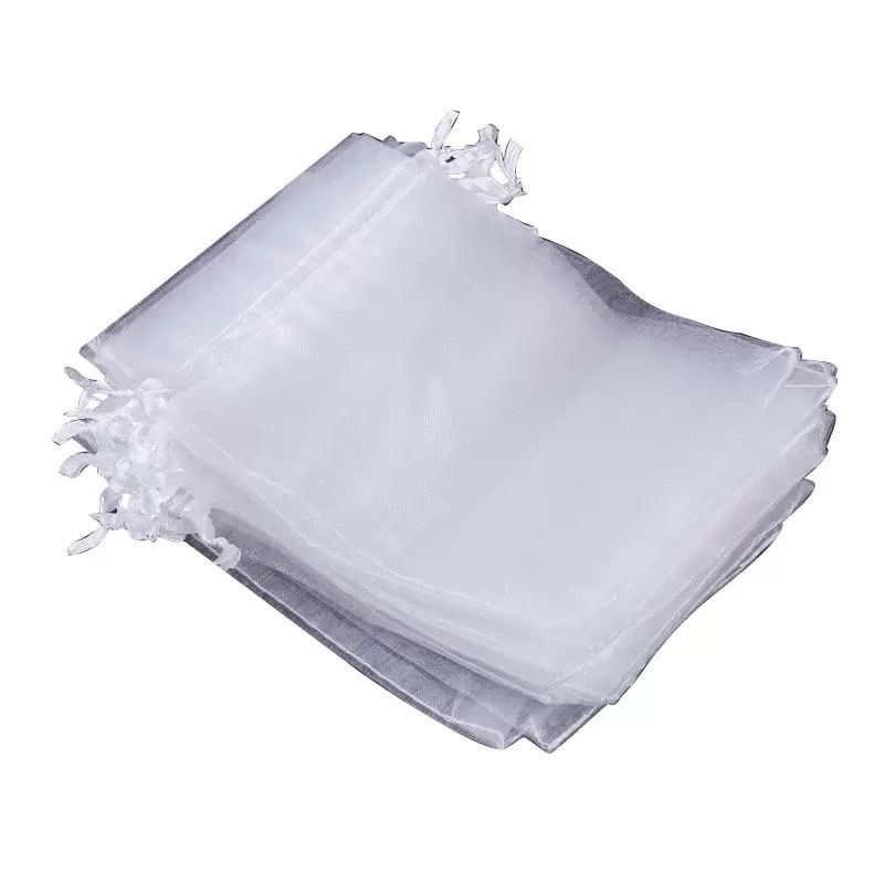 Spot Wholesale Fruit Anti-Bird and Insect-Proof Mesh Bag Transparent Fruit Bagging Grape Peach Fig Breathable Drawstring Bag