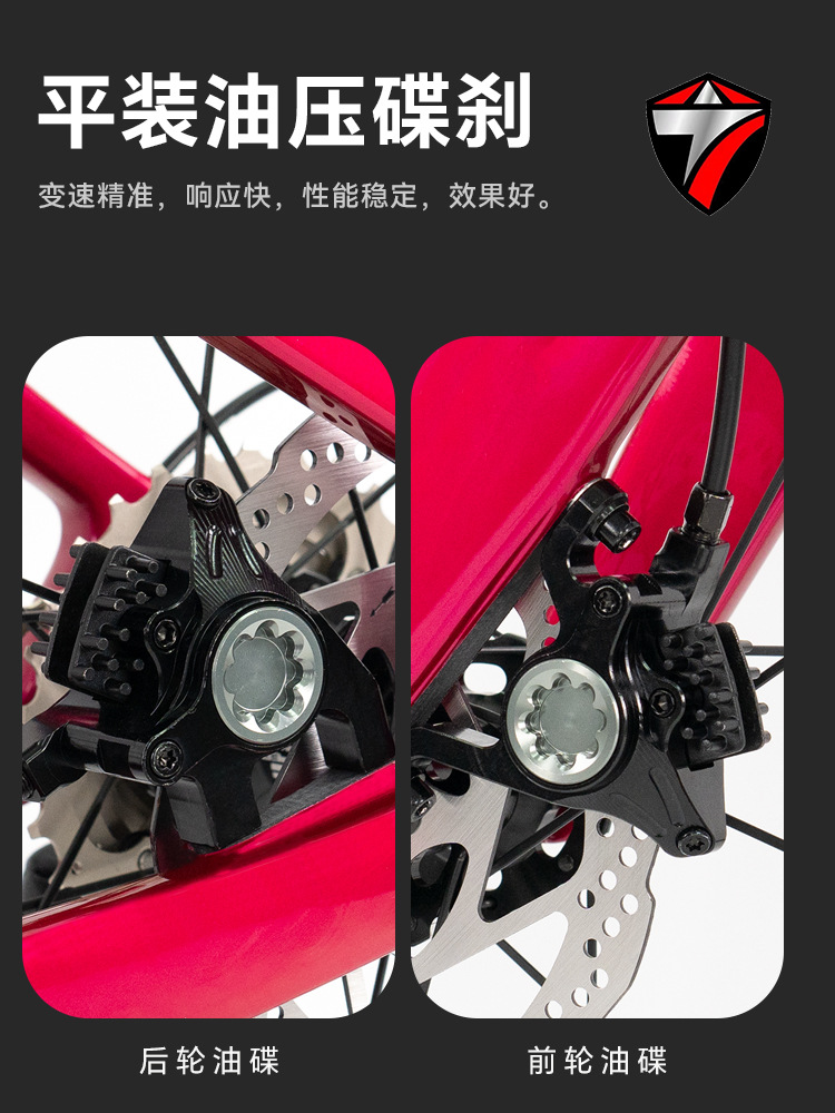 Zui Te Storm Rider Carbon Fiber Road Bike with Integrated Aluminum Handlebars, Shun Tai 22-Speed Racing Bike with Carbon Wheels