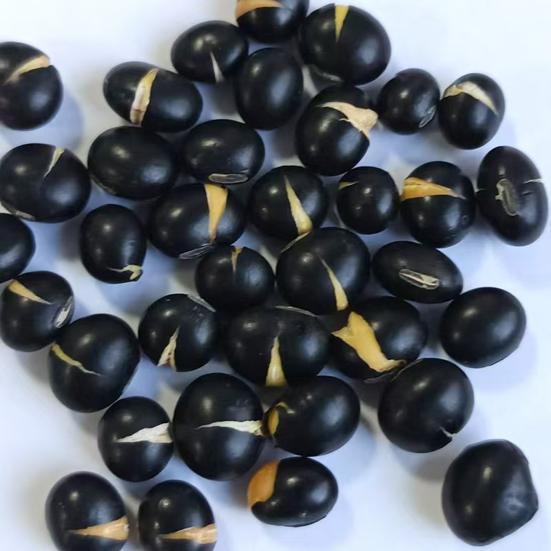 Low Temperature Baking Yellow Core Black Bean Soybean Milk Powder Grinding Raw Material Yellow Core Black Bean Grain Cooked Yellow Core Black Bean Bulk