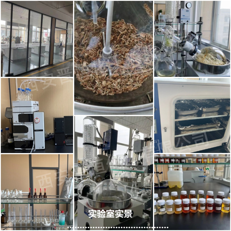 [100g Small Package] Nattokinase 20000Fu/G |   Natto Powder |   Nattokinase Powder