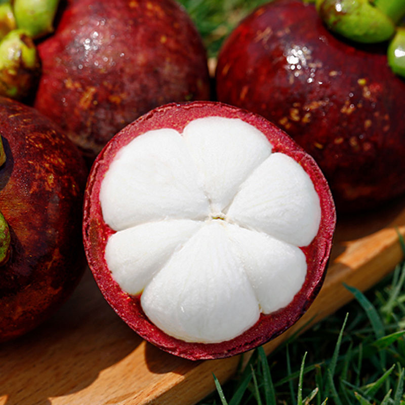 Sf Express Free Shipping Thailand Imported Fresh 5A Large Mangosteen Seasonal Tropical Fruit Freshly Picked Whole Box Wholesale