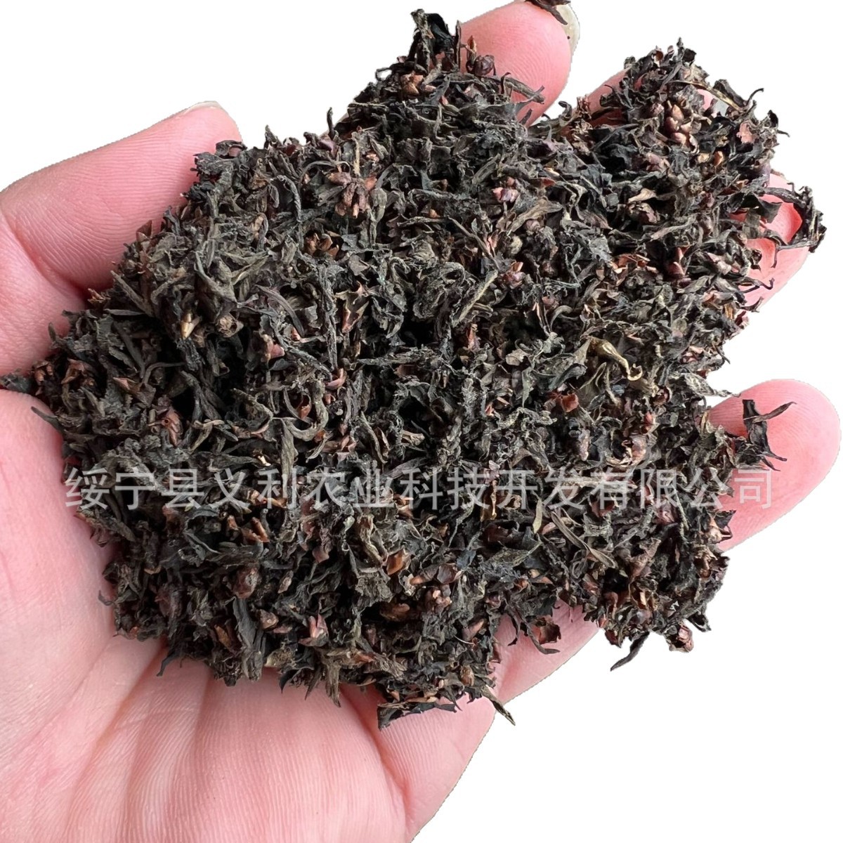 Wholesale Supply of Eucommia Male Flower Tail Material, Eucommia Tea, Eucommia Leaf Tea Tail Material, Foam