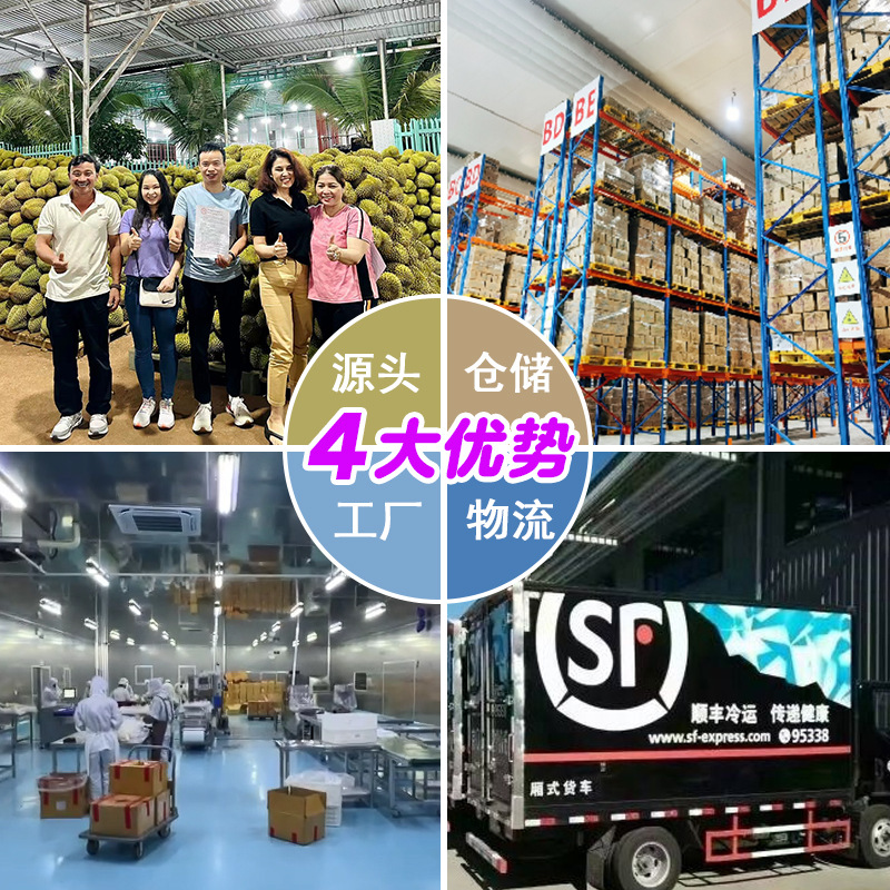 3A Grade Thai Golden Pillow Frozen Durian Seedless Pulp Fresh Fruit Wholesale Roasted Durian Baking Ingredients 3Kg/Bag