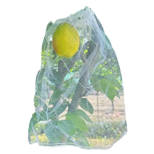 Fruit Tree Insect-Proof Net Bag, Bird-Proof Gauze Bag, Grape Bag, Fig, Guava, Strawberry Bagging, Peach Bagging