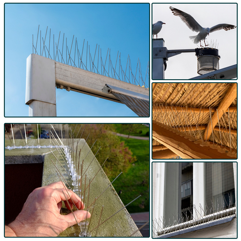 Cross-Border Plastic Pc Base Stainless Steel Anti-Bird Thorn Anti-Cat Anti-Climb Bumspikes25Cm50Cm Bird Thorn Repellent
