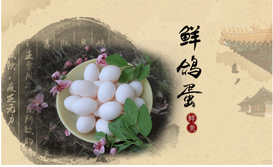 Free Shipping Wholesale Selection of 30 Sf White Pigeon Eggs, Free Shipping, Fresh Local Specialty Farm Grains, Free-Range Baby