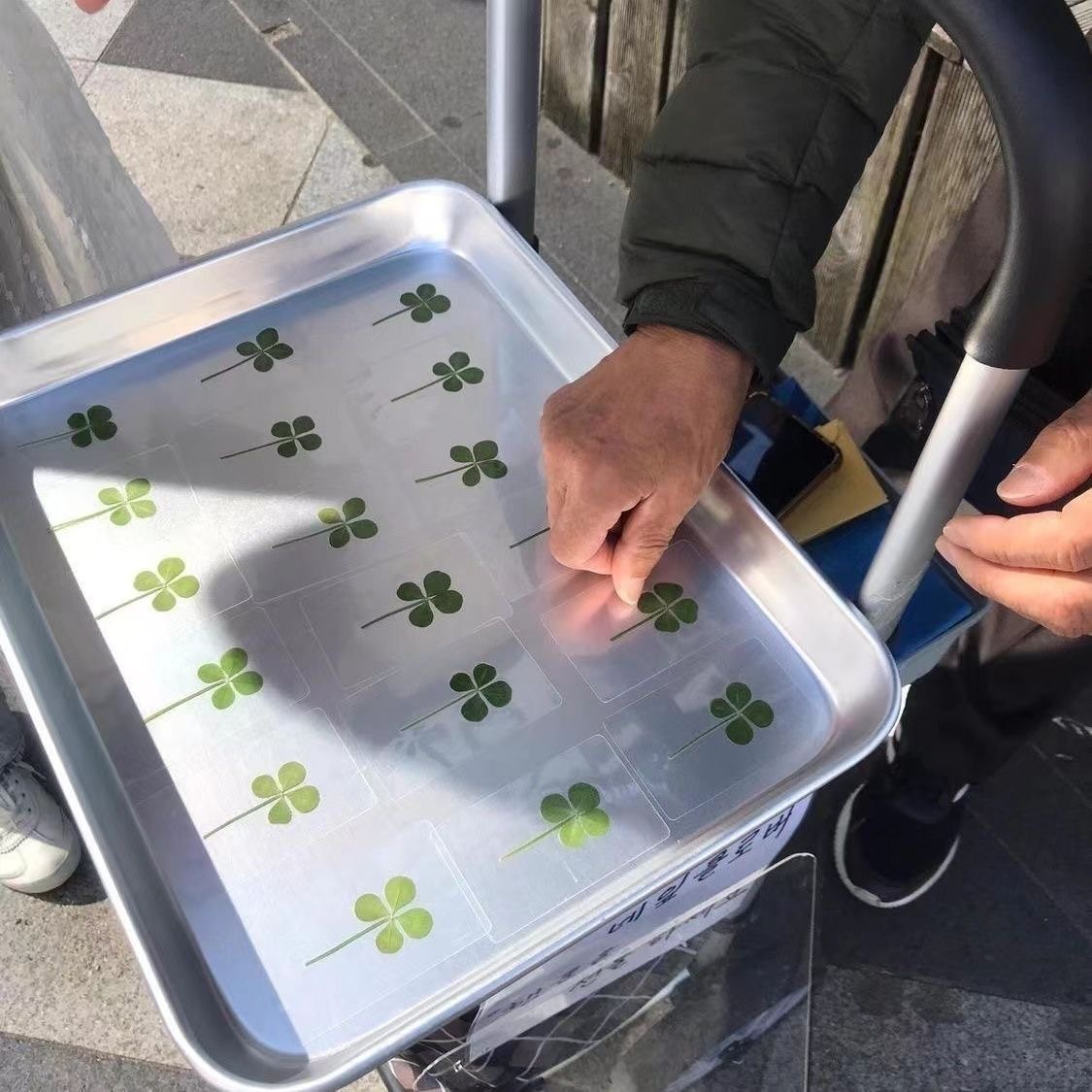 50 Pieces of 10.9 Lucky Four-Leaf Clover Transparent Acrylic Cards, Fresh and Simple, Wishing Good Luck Bookmarks, Healing Gifts