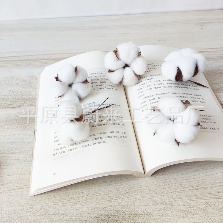 Five-petal cotton head full cotton bouquet DIY material home decoration photo props floral furnishings