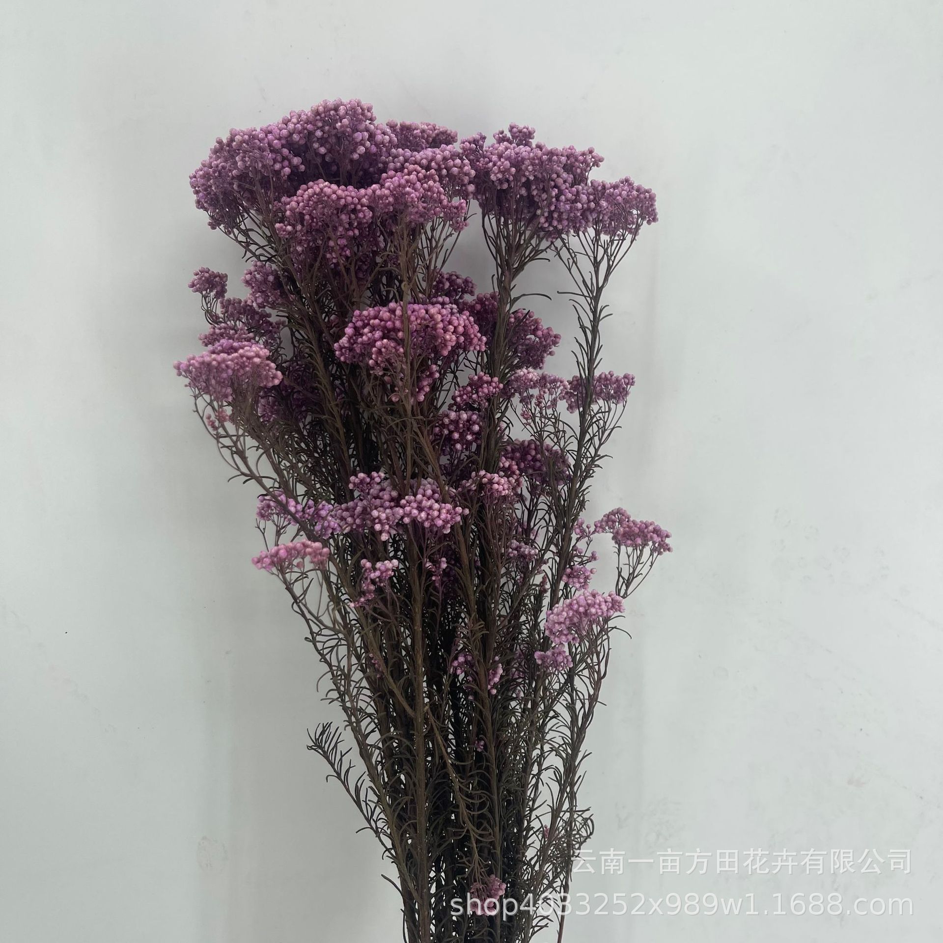 Eternal Millet Flower Is Not Easy to Fall Off Dried Flower Bouquet Yunnan Factory Direct Sales DIY Flower Arrangement Flower Decoration