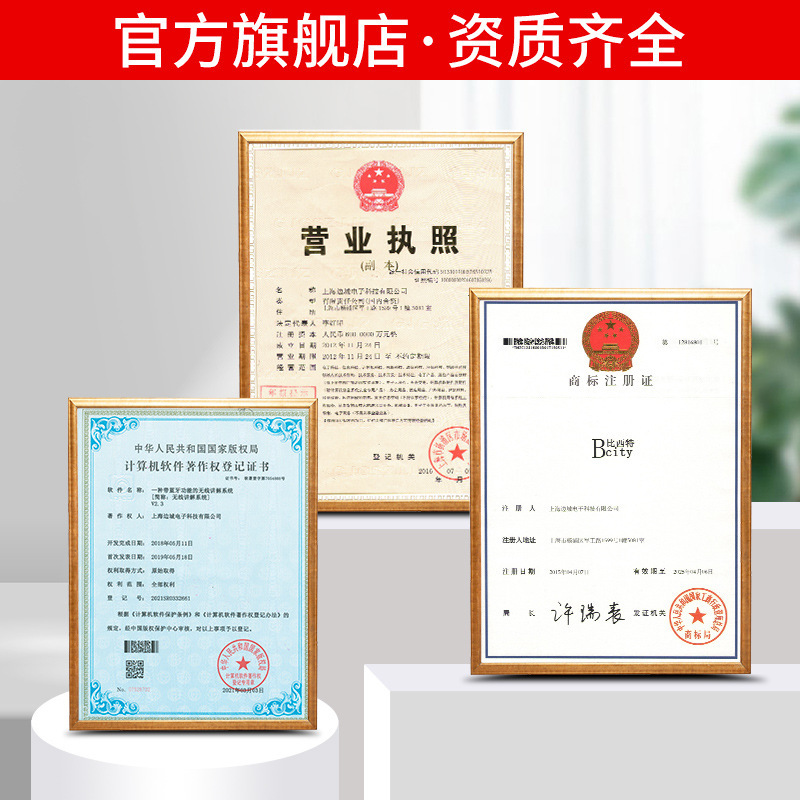 Bisiter Explainer One-to-Many Tour Guide Explainer Factory Visit Museum Explainer One-to-Many Explainer Headset