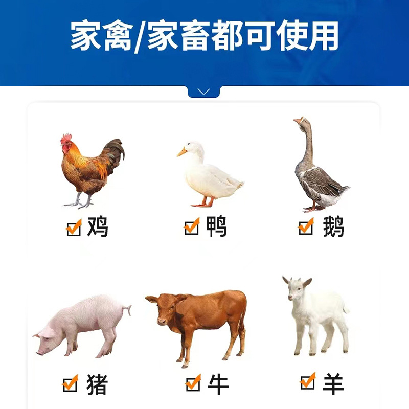 Ivermectin Dog Deworming Drug, Mites, Scabies, Fleas, Filarial Mites, Dog Pig Mites, Special Drug for Pets and Veterinary Use