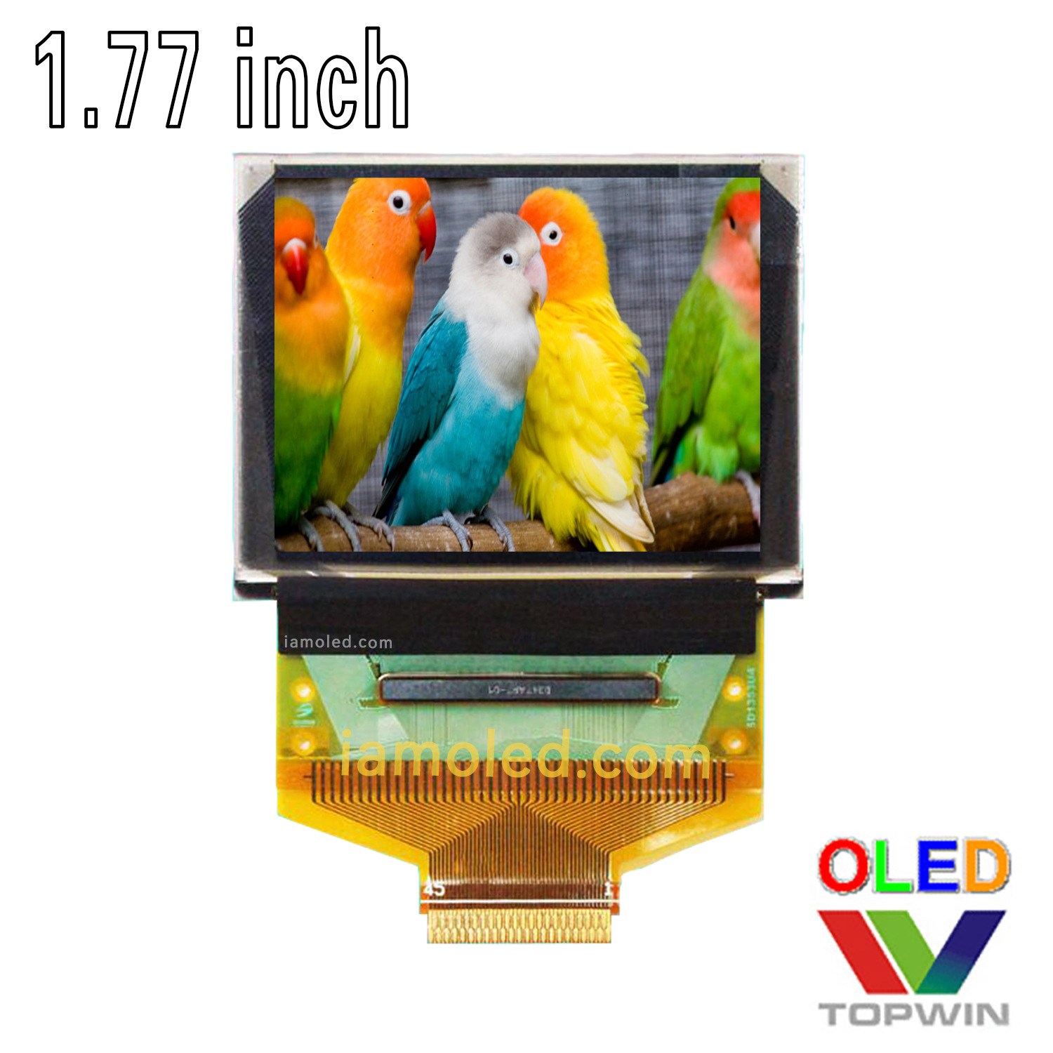 1.77-inch color extension cable oled LCD screen QG-6028GDEAF02 extension 45pin connector