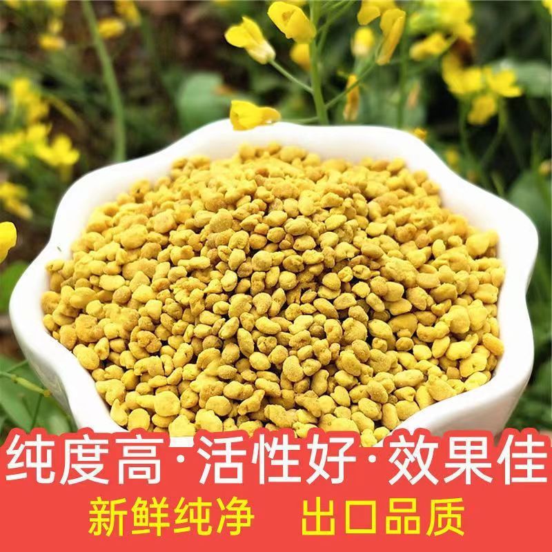 Qinghai Rapeseed Pollen Genuine Fresh Natural Bee Pollen Unbroken Qinghai Rapeseed Pure Powder Wholesale Edible Bottled