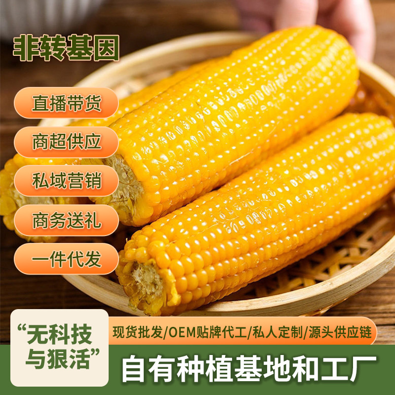 Northeast corn cob Jilin waxy corn independent vacuum packaging yellow corn a generation of wholesale