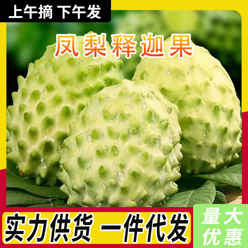 Ананас, сагу, экстра большой фрукт, фрукт будды, свежий гравилат в сезоне, коробка свежих фруктов для беременных, молоко и сладость