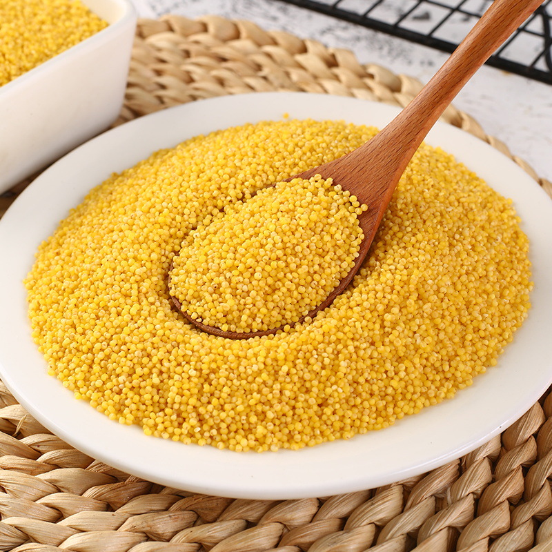 Yellow Millet 500g New Rice Grains Inner Mongolia Chifeng Farm Fragrant Glutinous Millet Porridge Coarse Grains Millet Wholesale