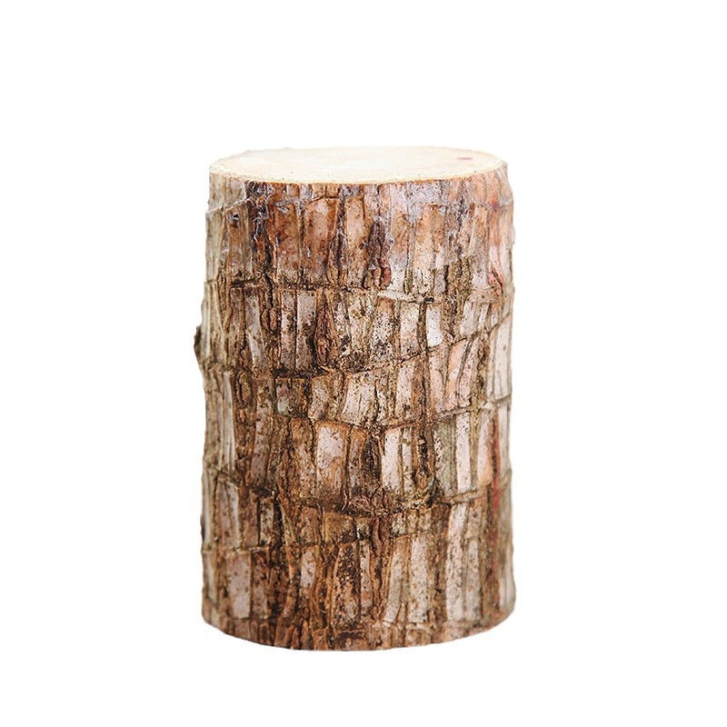 Brazilian Wood Can Germinate Indoor Water-Cultured Lucky Wood Hydroponic Evergreen Tree Flower Potted Green Plant Easy to Live Wholesale