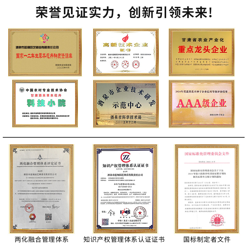 Green Plant Wall Taro Leaf Potted Plant, Caladium Tuber, Extremely Shade-Tolerant Colorful Taro Leaf Landscaping Decoration Pre-Sale