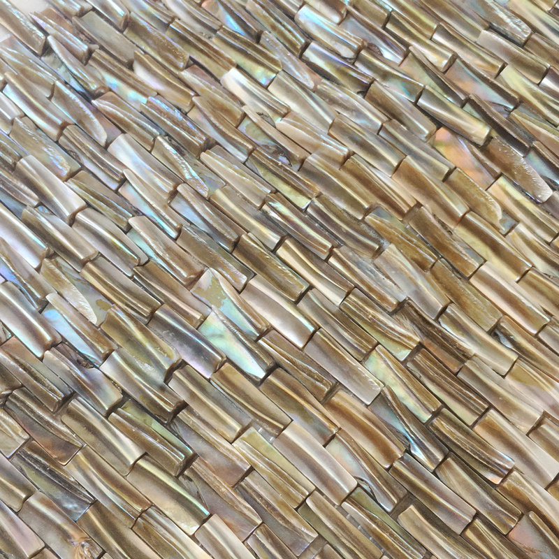 Shell piece shell rib shell decoration DIY material shell painting natural shell piece mosaic piece shell particle