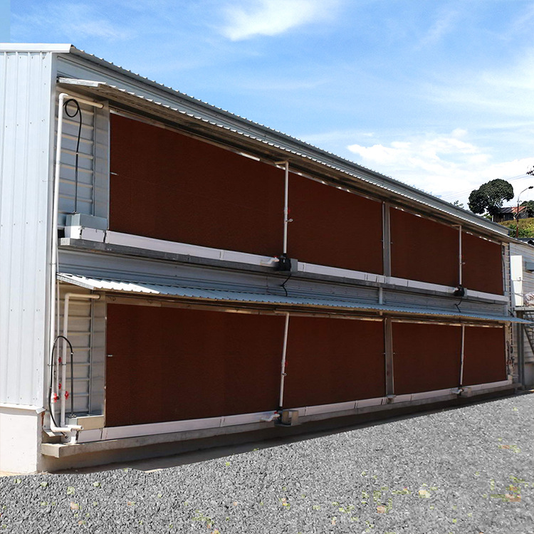 Steel Structure chicken coop export production frame stable free installation drawings steel structure chicken coop building