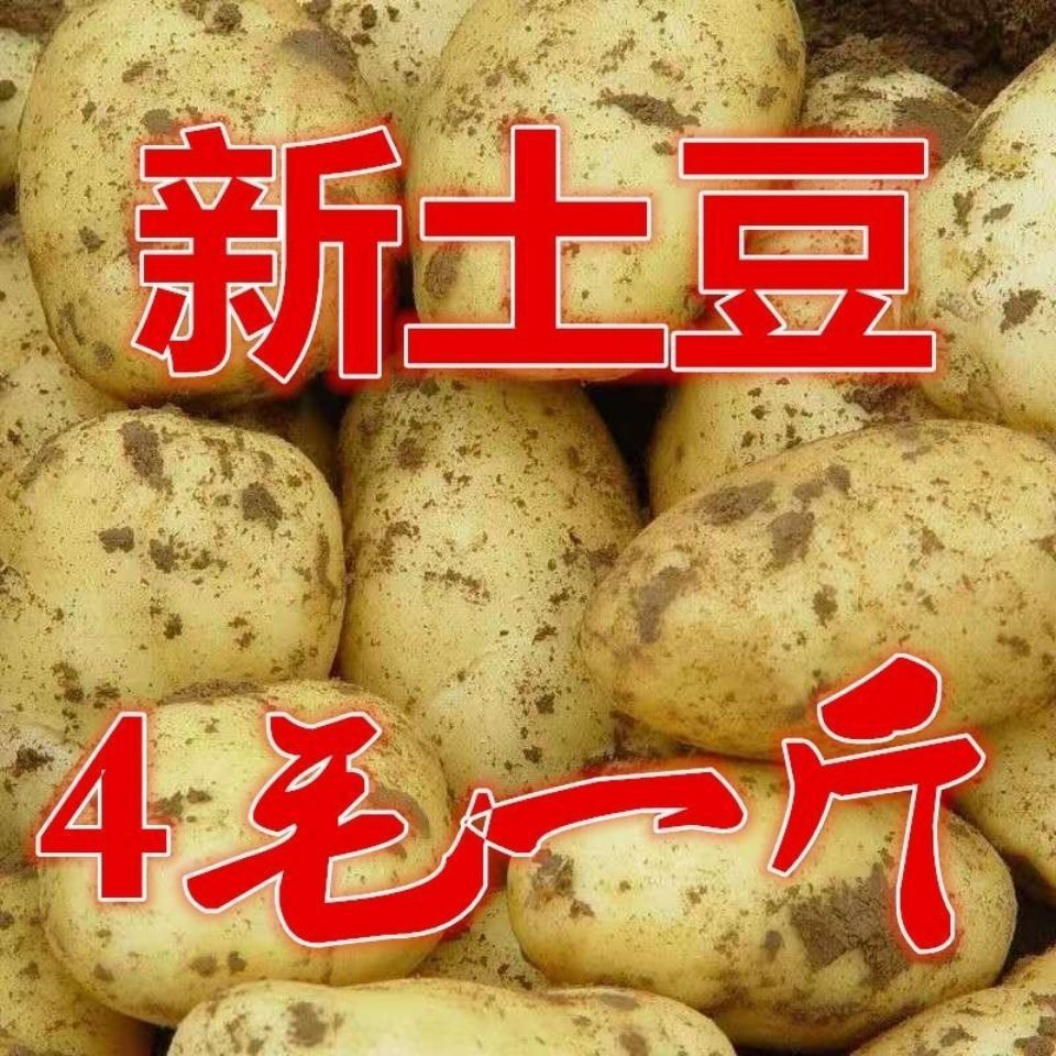 Potatoes Wholesale at Low Prices with Free Shipping 2.5kg White-Skinned High-Quality Vegetables, White-Fleshed Farm-Grown Freshly Harvested Potatoes