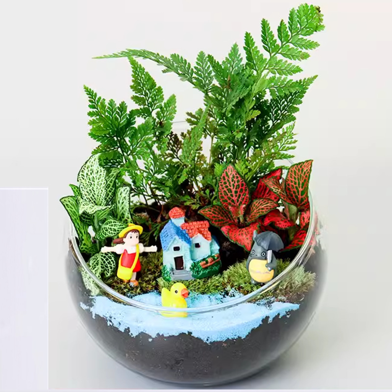 Мох суккулент микроландшафт DIY материал пакет разрезная стеклянная шар экологическая бутылка украшение набор для подарка мини