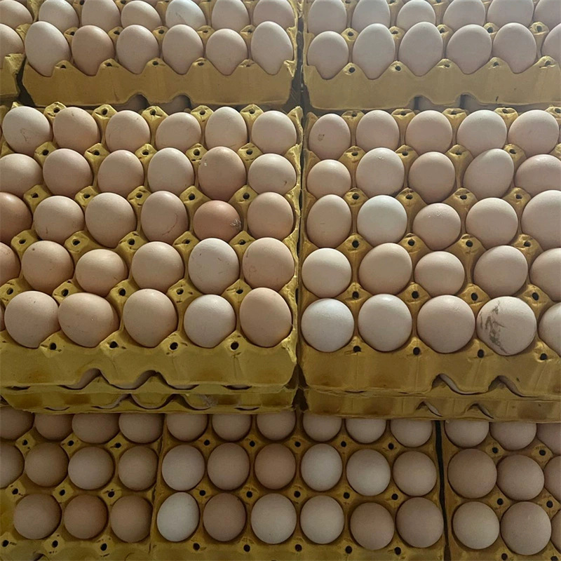 The Manufacturer Supplies 30 Pieces, 15 Pieces, 12 Pieces of Paper Pulp Egg Trays, Cauliflower Yellow, Standard Yellow, Standard White, Moisture-Proof, Waterproof and Pressure-Resistant
