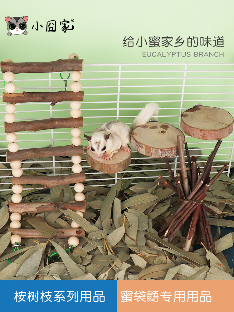 Листья эвкалипта, сахарные летяги, игрушки для жевания, дезинфекционные подушки, ветки эвкалипта, мелкие медовые клетки, игрушки для декора интерьера