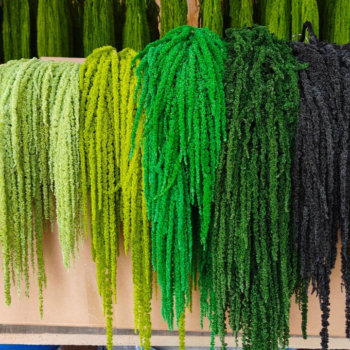 Preserved Flower Hanging, Rouli Silk Lover's Tears Short Spike Dried Flowers Wholesale, Hotel Photo Studio Decoration, Wedding Wholesale, Wedding Celebration