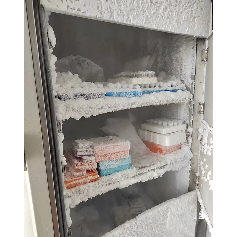2025 New Ultra-Low Temperature Refrigerator Freezer Ultra-Low Temperature Industrial Refrigerator-40 ℃ Low Temperature Experiment Box 0016