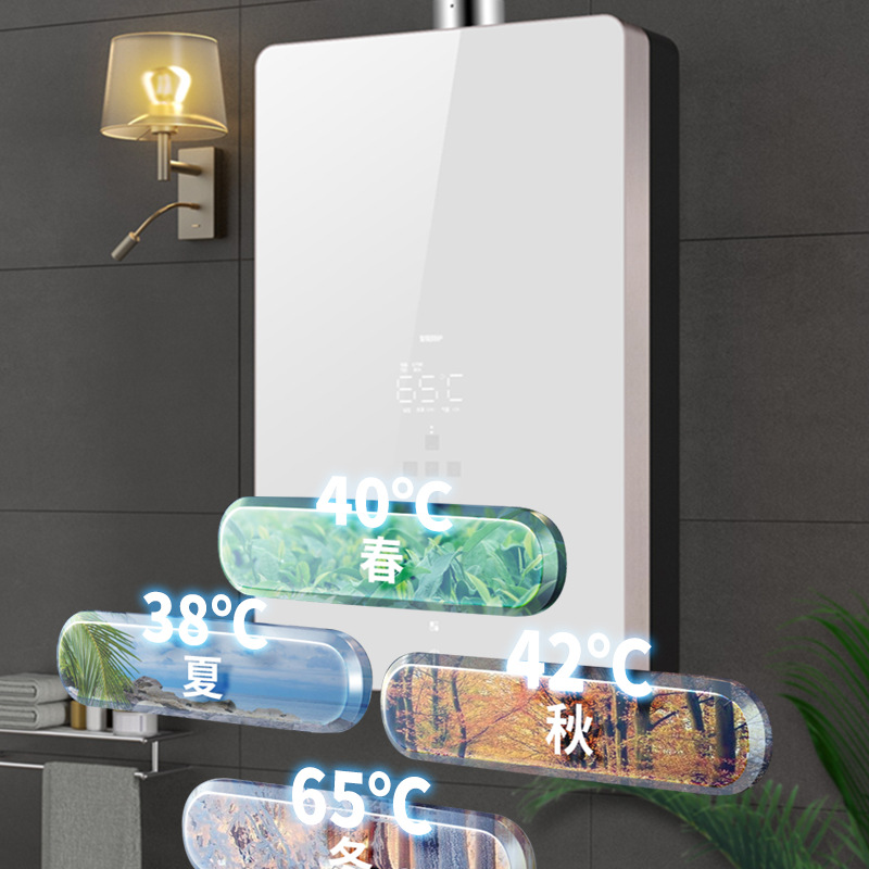 Wholesale Natural Gas Water Heater for Home Use, Constant Temperature Forced Exhaust Type, Liquefied Gas Balanced Type, 16L Zero Cold Water