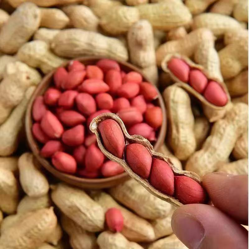 Seasonal New Arrivals: Four Red Northeast Specialty Peanuts with Shells, Farm-Produced Sun-Dried Peanuts with Shells, One Piece Drop Shipping